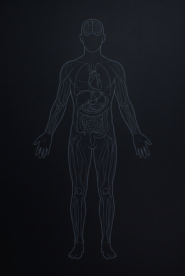 Anatomical research figure