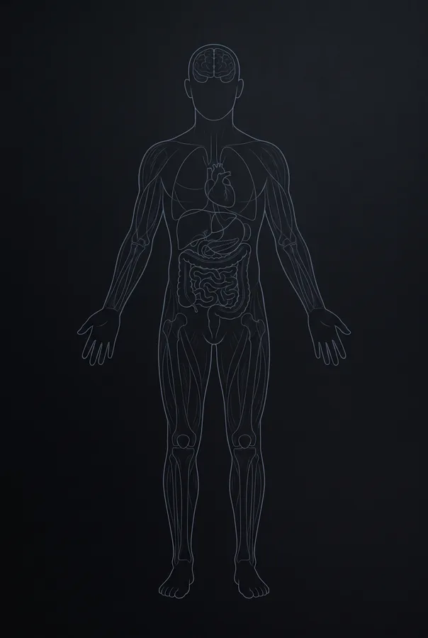 Anatomical research figure
